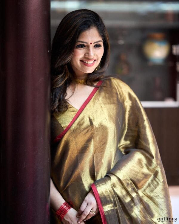 Red Border Golden Tissue Saree - Image 3
