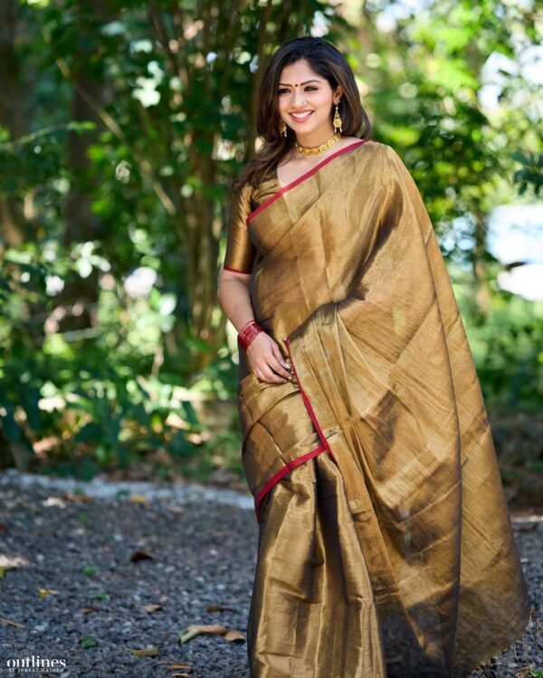 Red Border Golden Tissue Saree - Image 4