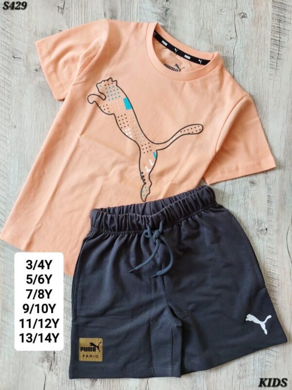 PREMIUM QUALITY KIDS  BOYS  HALF SLEEVE  T-SHIRTS &  SHORTS SET