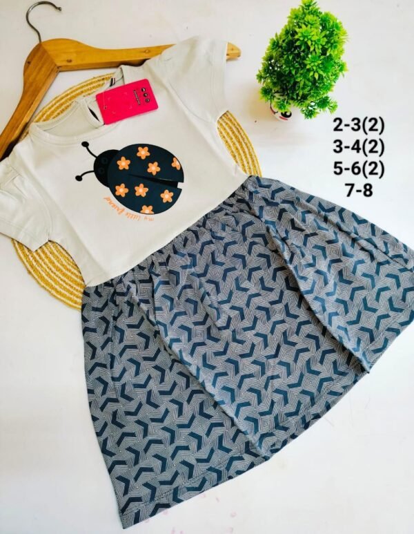Small Girls NEW SUMMER FROCKS - Image 3