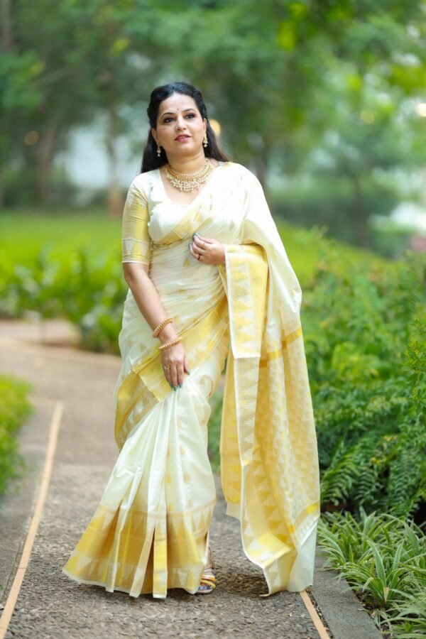 Avani cotton full heavy weave handloom replica saree - Image 3
