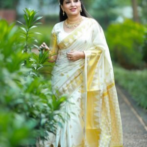 Avani cotton full heavy weave handloom replica saree