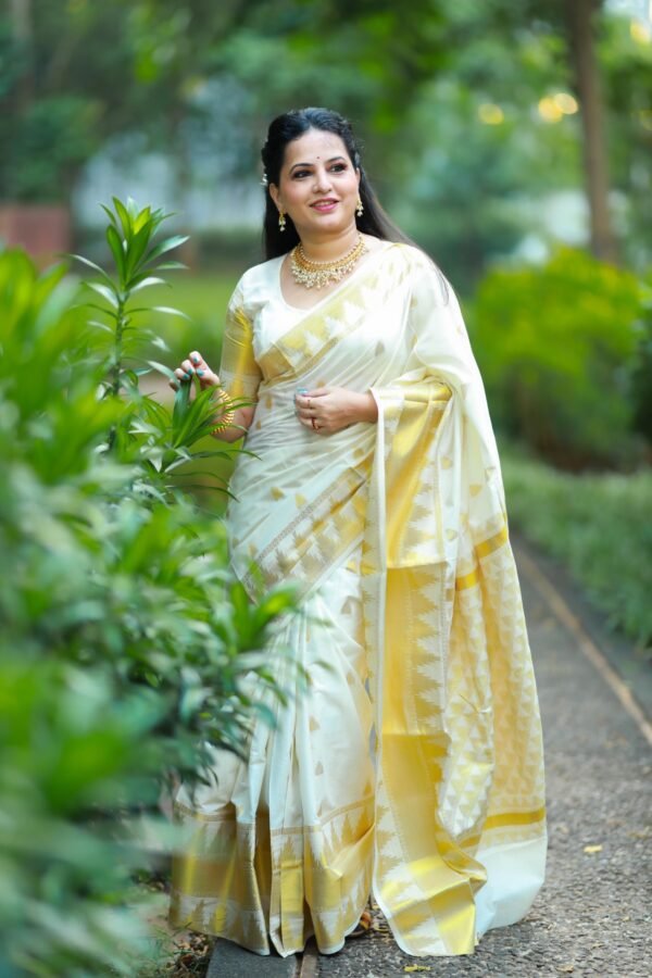 Avani cotton full heavy weave handloom replica saree