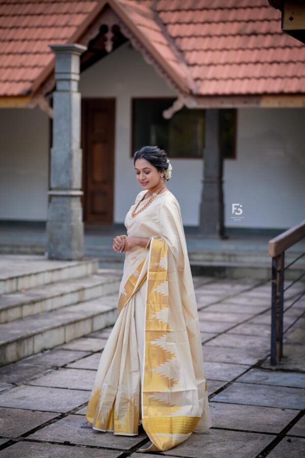 Border temple weave golden tissue saree - Image 3