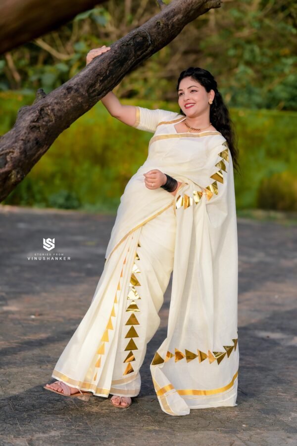golden foil arrow design saree