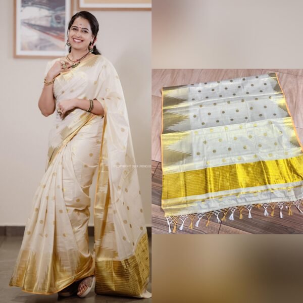 Handloom Replica Sadhika tissue saree - Image 4