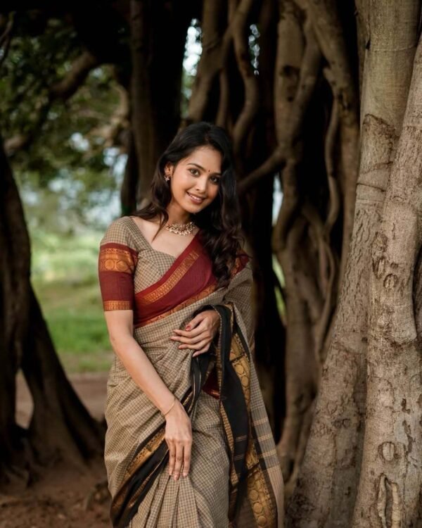 Ganga Yamuna Border checks maroon black border saree - Image 3