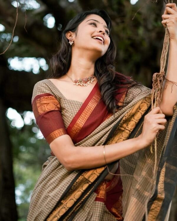Ganga Yamuna Border checks maroon black border saree - Image 4