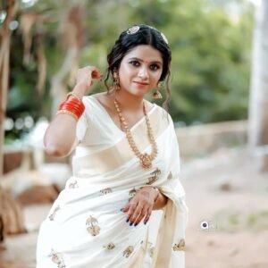 Elephant with umbrella embro cotton saree